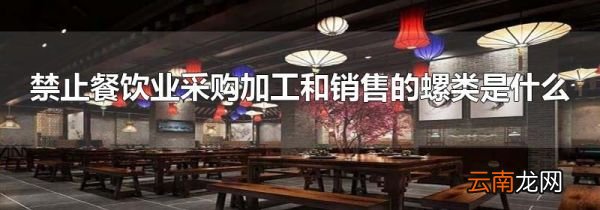 禁止餐饮业采购加工和销售的螺类是什么