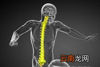 拔火罐能治疗颈椎病，为家人收藏起来！