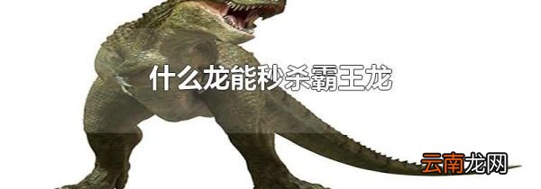 什么龙能秒杀霸王龙