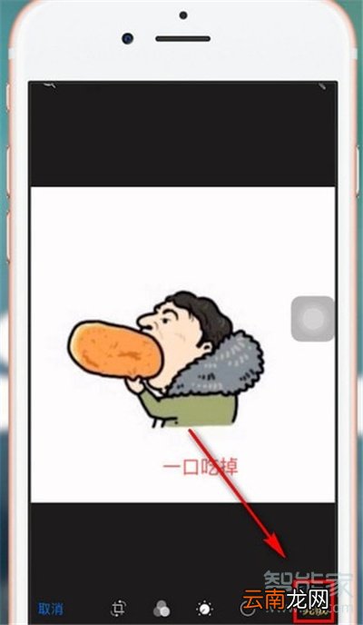 抖音上传照片怎么加字