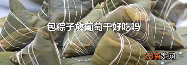 包粽子放葡萄干好吃吗