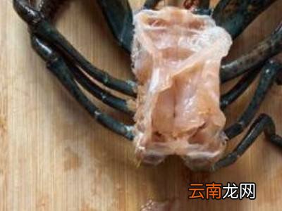 冷冻的波士顿龙虾怎么处理