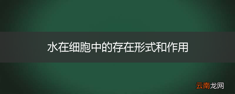水在细胞中的存在形式和作用