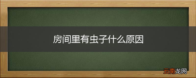 房间里有虫子什么原因