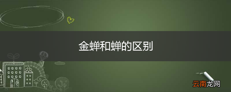 金蝉和蝉的区别