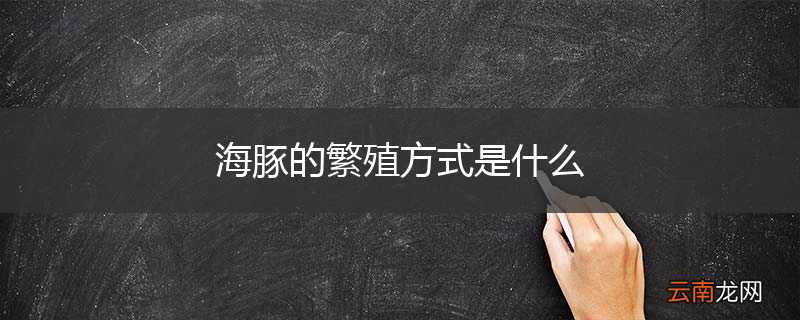 海豚的繁殖方式是什么