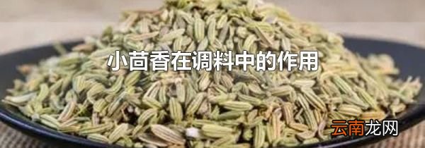 小茴香在调料中的作用