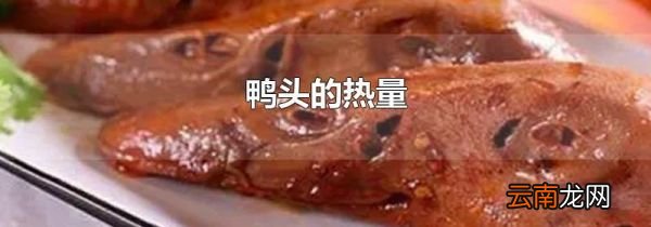 鸭头的热量