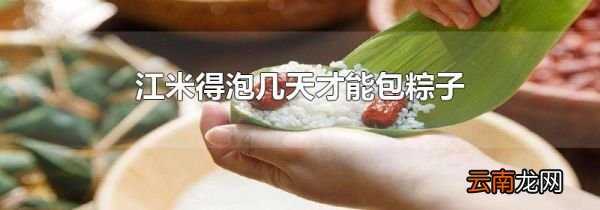 江米得泡几天才能包粽子