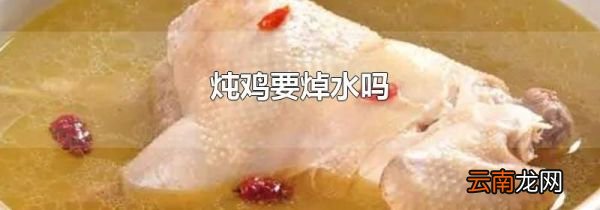 炖鸡要焯水吗