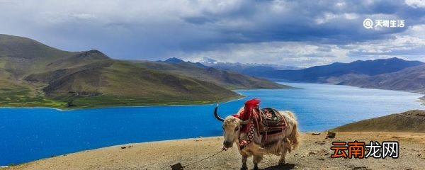 西藏三大圣湖是哪三个 西藏三大圣湖分别是什么湖