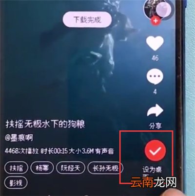 荣耀10中设置动态壁纸的简单方法