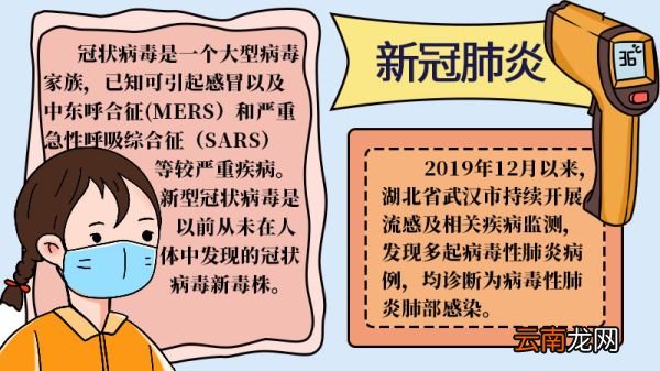 新冠状病毒肺炎手抄报大全新冠状病毒肺炎手抄报大全步骤