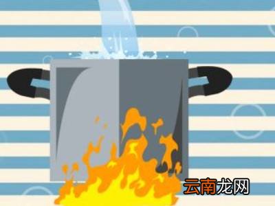 海狗翅怎么泡发