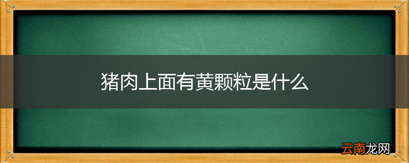 猪肉上面有黄颗粒是什么