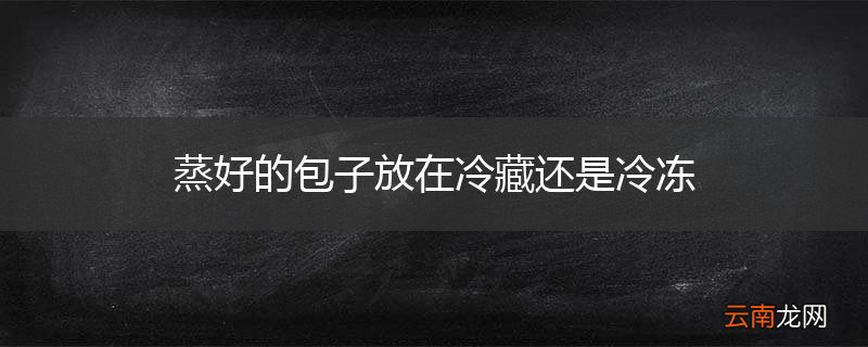 蒸好的包子放在冷藏还是冷冻