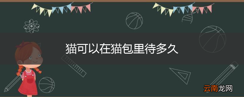 猫可以在猫包里待多久
