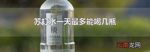 苏打水一天最多能喝几瓶