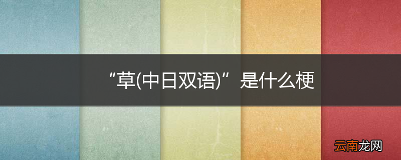 中日双语 “草”是什么梗