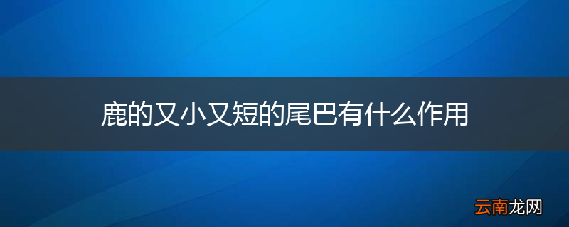鹿的又小又短的尾巴有什么作用