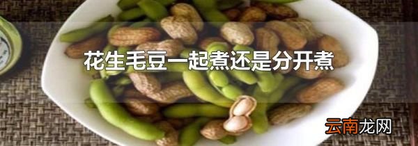 花生毛豆一起煮还是分开煮
