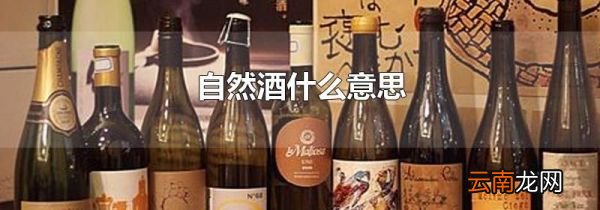 自然酒什么意思
