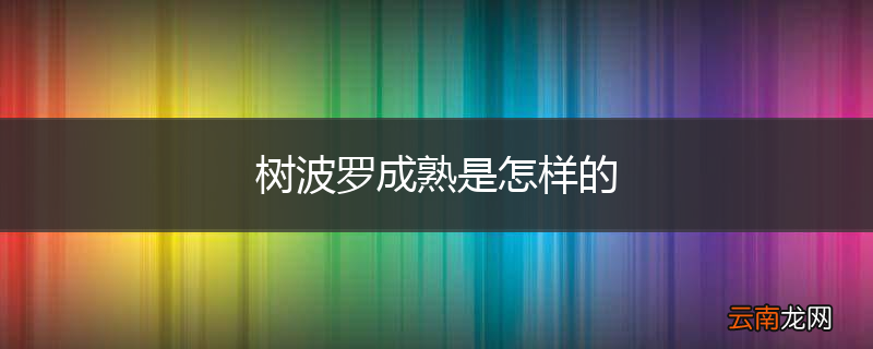 树波罗成熟是怎样的