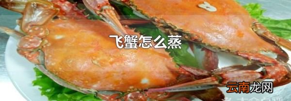飞蟹怎么蒸