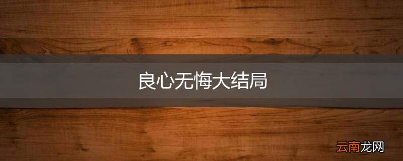 良心无悔大结局