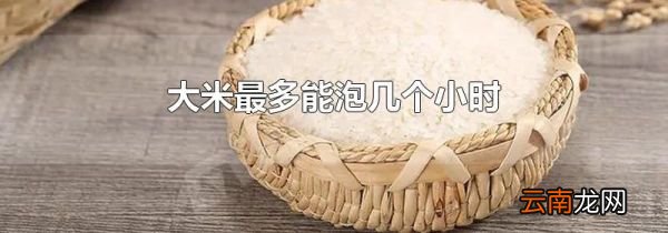 大米最多能泡几个小时
