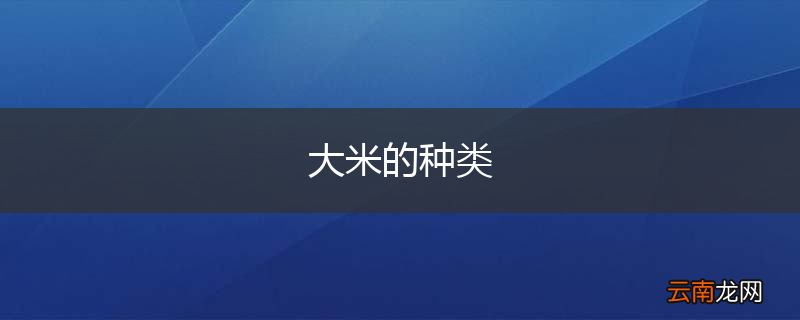 大米的种类