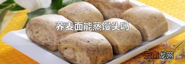 荞麦面能蒸馒头吗