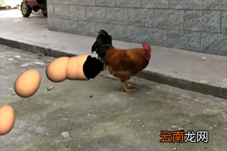 视+AR APP设置下蛋特效具体操作步骤
