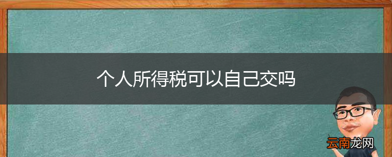 个人所得税可以自己交吗