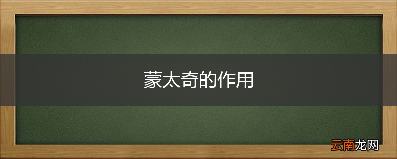 蒙太奇的作用