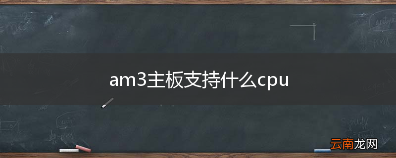 am3主板支持什么cpu