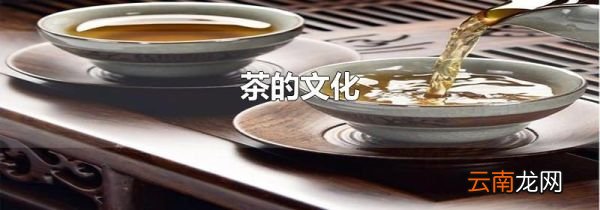 茶的文化