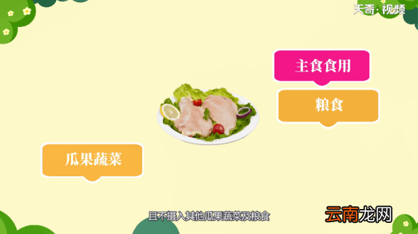 鸡是鸟类吗 鸡是不是鸟类