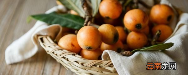 吃完枇杷核能种吗什么时候种 枇杷核怎么种植
