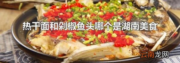 热干面和剁椒鱼头哪个是湖南美食