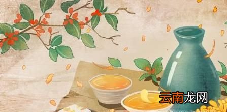 重阳节是干什么的啊