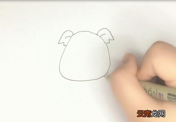 树袋熊简笔画
