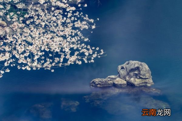 《风》李峤拼音《风》李峤全诗的意思