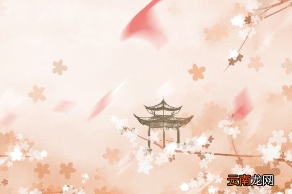 不是天涯卷起杨花似雪花作者减字木兰花苏轼赏析