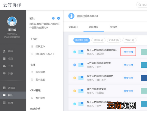 云竹协作中团队项目统计以及概括的操作方法