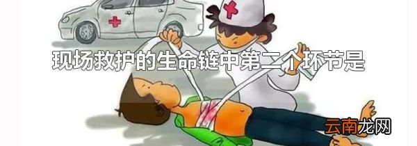 现场救护的生命链中第二个环节是