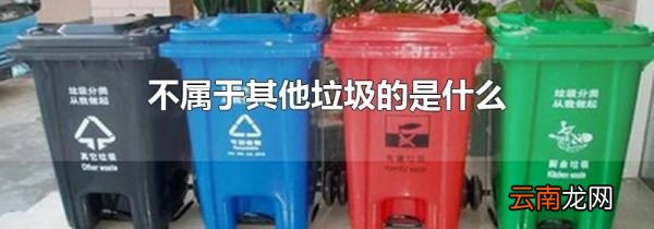 不属于其他垃圾的是什么