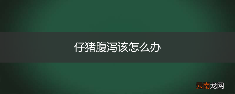 仔猪腹泻该怎么办