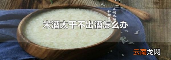 米酒太干不出酒怎么办