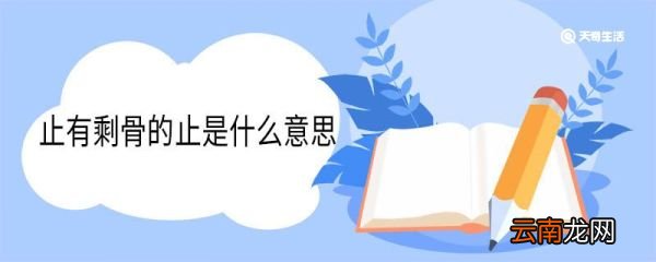 止有剩骨的止是什么意思 止有剩骨中止的意思
